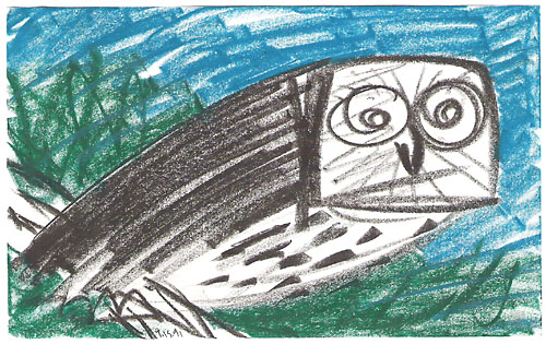 colorowlpencil91web.jpg