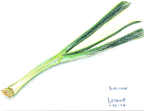 scallioncolor1_495.jpg