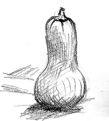 squash6x8_350.jpg