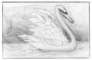 swanpencil87web.jpg