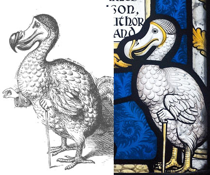 dodo-sidebyside.jpg